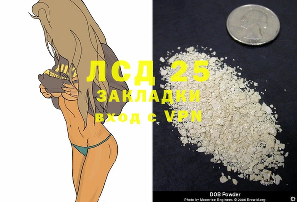 сатива Алексин