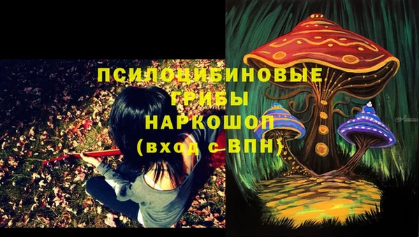 ешки Алзамай