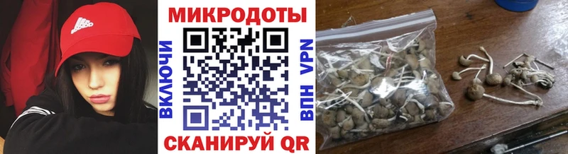 блэк спрут tor  Комсомольск  Псилоцибиновые грибы мицелий 